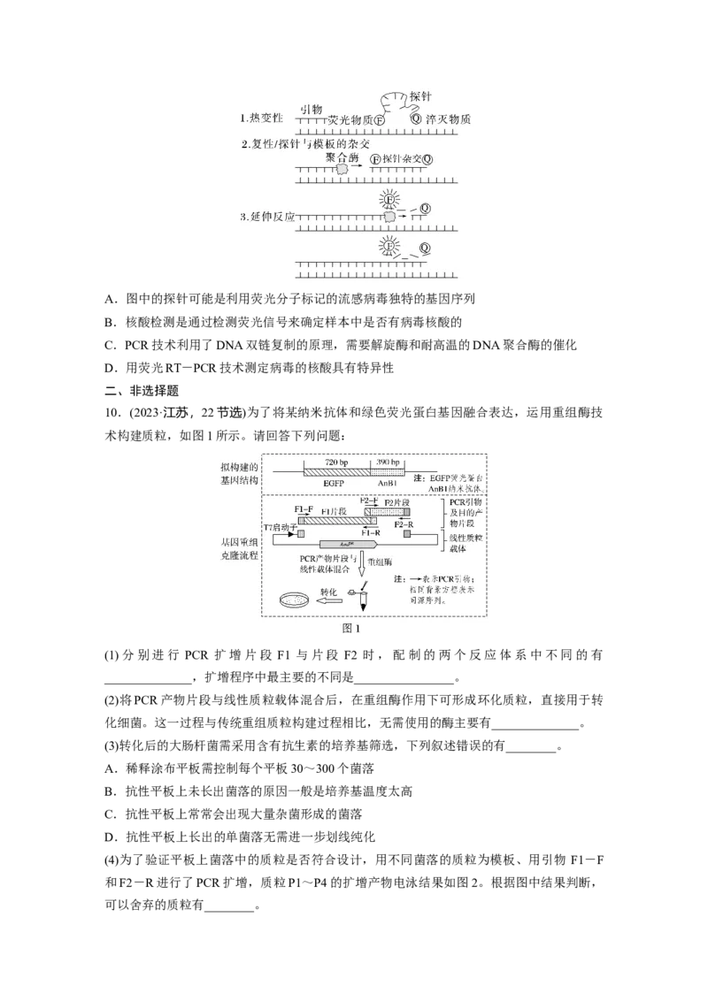 第十单元　专题突破10　综合PCR的基因工程问题_2025年新高考资料_一轮复习_2025大一轮复习讲义+课件（完结）_2025大一轮复习讲义生物学生用书Word版文档整书_2025一轮复习73练