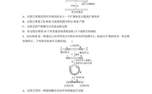 第十单元　专题突破10　综合PCR的基因工程问题_2025年新高考资料_一轮复习_2025大一轮复习讲义+课件（完结）_2025大一轮复习讲义生物学生用书Word版文档整书_2025一轮复习73练