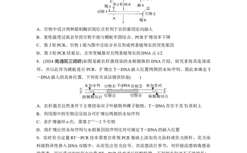 第十单元　专题突破10　综合PCR的基因工程问题_2025年新高考资料_一轮复习_2025大一轮复习讲义+课件（完结）_2025大一轮复习讲义生物学生用书Word版文档整书_2025一轮复习73练