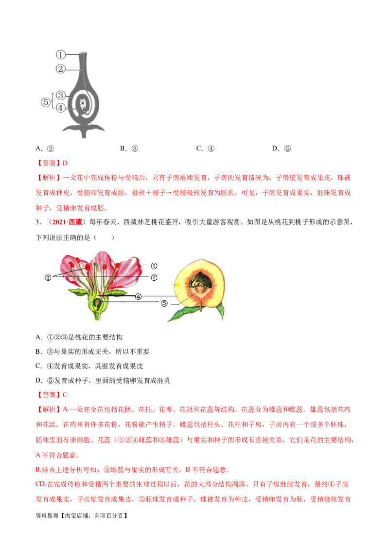 专题03&nbsp;绿色开花植物的一生（解析版）_6生物中考复习_2024年中考复习资料_专项复习资料_完三年（2021-2023）中考生物真题分项汇编（全国通用）_答案解析版