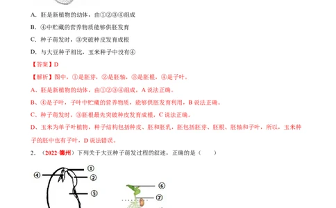 专题03&nbsp;绿色开花植物的一生（解析版）_6生物中考复习_2024年中考复习资料_专项复习资料_完三年（2021-2023）中考生物真题分项汇编（全国通用）_答案解析版