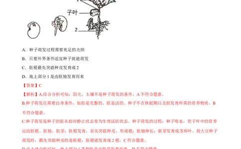 专题03&nbsp;绿色开花植物的一生（解析版）_6生物中考复习_2024年中考复习资料_专项复习资料_完三年（2021-2023）中考生物真题分项汇编（全国通用）_答案解析版