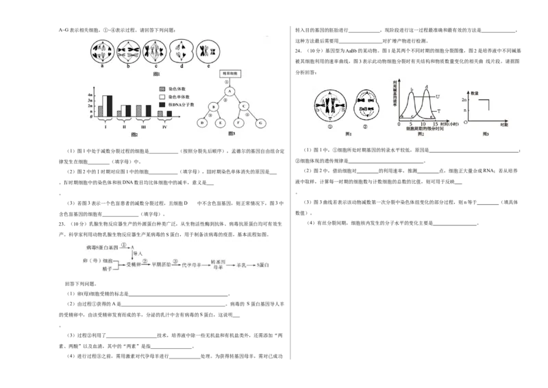 第四单元有丝分裂及减数分裂详解（B卷能力提升练）-2022年高考生物一轮复习单元滚动双测卷（考试版）_新高考复习资料_2023年新高考复习资料_一轮复习