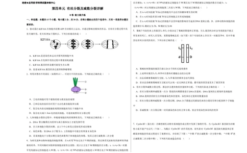 第四单元有丝分裂及减数分裂详解（B卷能力提升练）-2022年高考生物一轮复习单元滚动双测卷（考试版）_新高考复习资料_2023年新高考复习资料_一轮复习