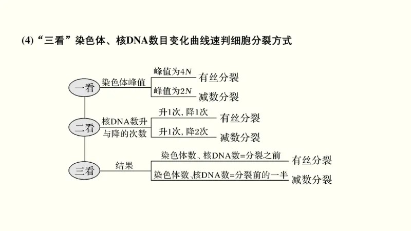第四单元细胞的生命历程（教案）_新高考复习资料_2022年新高考复习资料_2022届一轮复习讲练结合7.13更新_系列一_第四单元细胞的生命历程