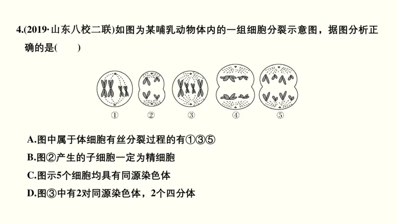 第四单元细胞的生命历程（教案）_新高考复习资料_2022年新高考复习资料_2022届一轮复习讲练结合7.13更新_系列一_第四单元细胞的生命历程