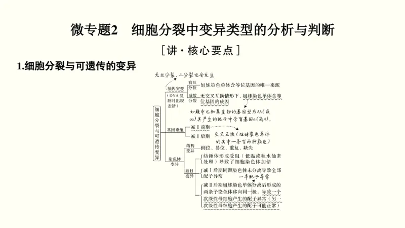 第四单元细胞的生命历程（教案）_新高考复习资料_2022年新高考复习资料_2022届一轮复习讲练结合7.13更新_系列一_第四单元细胞的生命历程