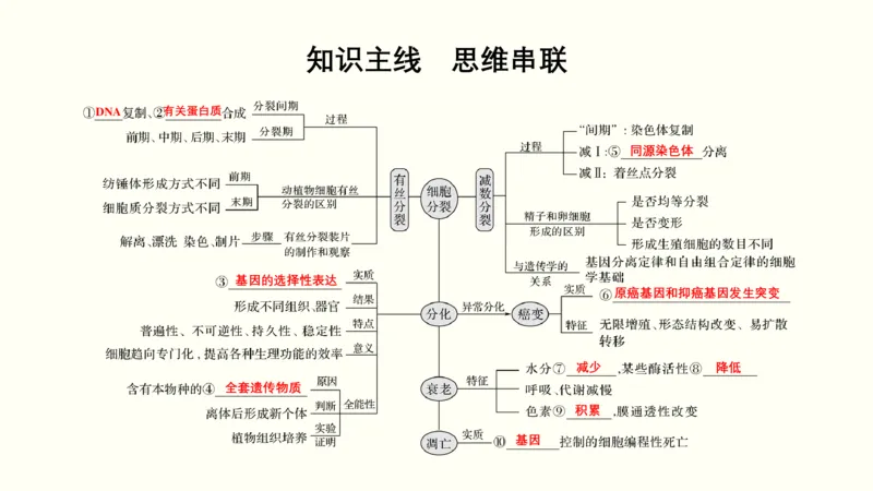 第四单元细胞的生命历程（教案）_新高考复习资料_2022年新高考复习资料_2022届一轮复习讲练结合7.13更新_系列一_第四单元细胞的生命历程