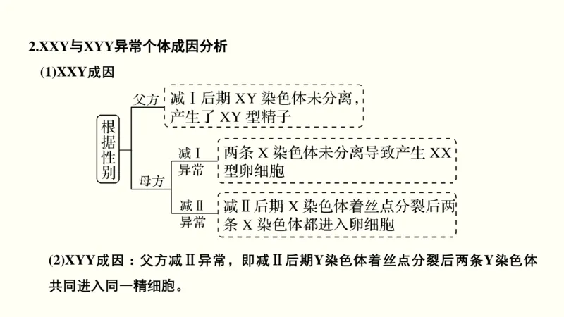 第四单元细胞的生命历程（教案）_新高考复习资料_2022年新高考复习资料_2022届一轮复习讲练结合7.13更新_系列一_第四单元细胞的生命历程