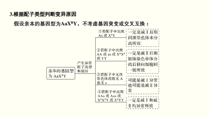 第四单元细胞的生命历程（教案）_新高考复习资料_2022年新高考复习资料_2022届一轮复习讲练结合7.13更新_系列一_第四单元细胞的生命历程