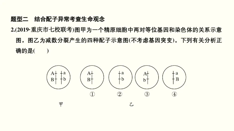 第四单元细胞的生命历程（教案）_新高考复习资料_2022年新高考复习资料_2022届一轮复习讲练结合7.13更新_系列一_第四单元细胞的生命历程