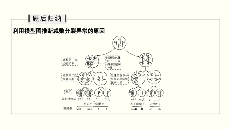 第四单元细胞的生命历程（教案）_新高考复习资料_2022年新高考复习资料_2022届一轮复习讲练结合7.13更新_系列一_第四单元细胞的生命历程