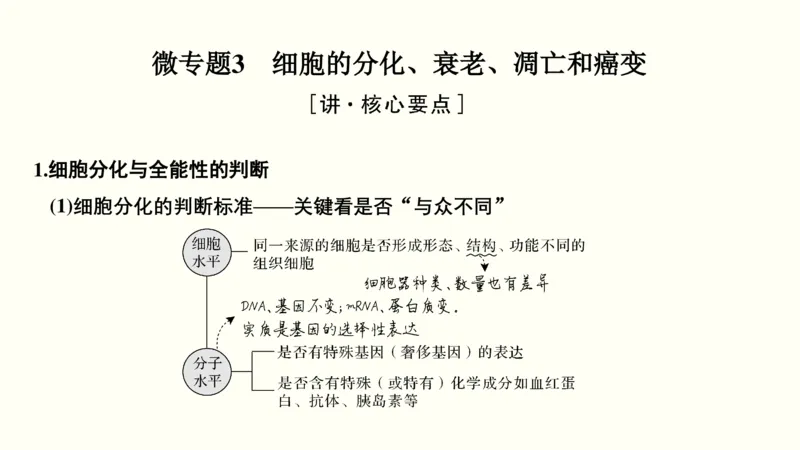 第四单元细胞的生命历程（教案）_新高考复习资料_2022年新高考复习资料_2022届一轮复习讲练结合7.13更新_系列一_第四单元细胞的生命历程