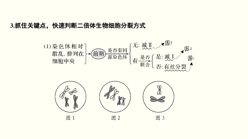 第四单元细胞的生命历程（教案）_新高考复习资料_2022年新高考复习资料_2022届一轮复习讲练结合7.13更新_系列一_第四单元细胞的生命历程
