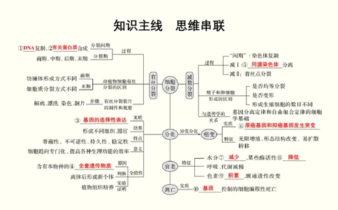 第四单元细胞的生命历程（教案）_新高考复习资料_2022年新高考复习资料_2022届一轮复习讲练结合7.13更新_系列一_第四单元细胞的生命历程