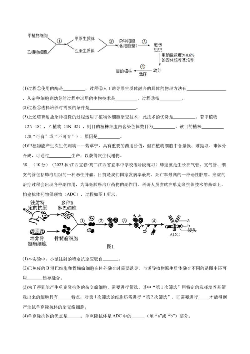 第十单元生物技术与工程（测试）（原卷版）_新高考复习资料_2024年新高考复习资料_一轮复习资料_完2024年高考生物一轮复习讲练测(课件+讲义+练习)（新高考）_单元测试
