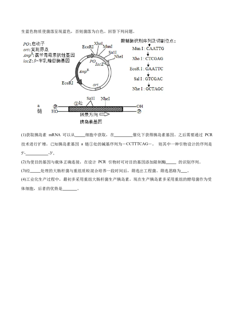 第十单元生物技术与工程（测试）（原卷版）_新高考复习资料_2024年新高考复习资料_一轮复习资料_完2024年高考生物一轮复习讲练测(课件+讲义+练习)（新高考）_单元测试