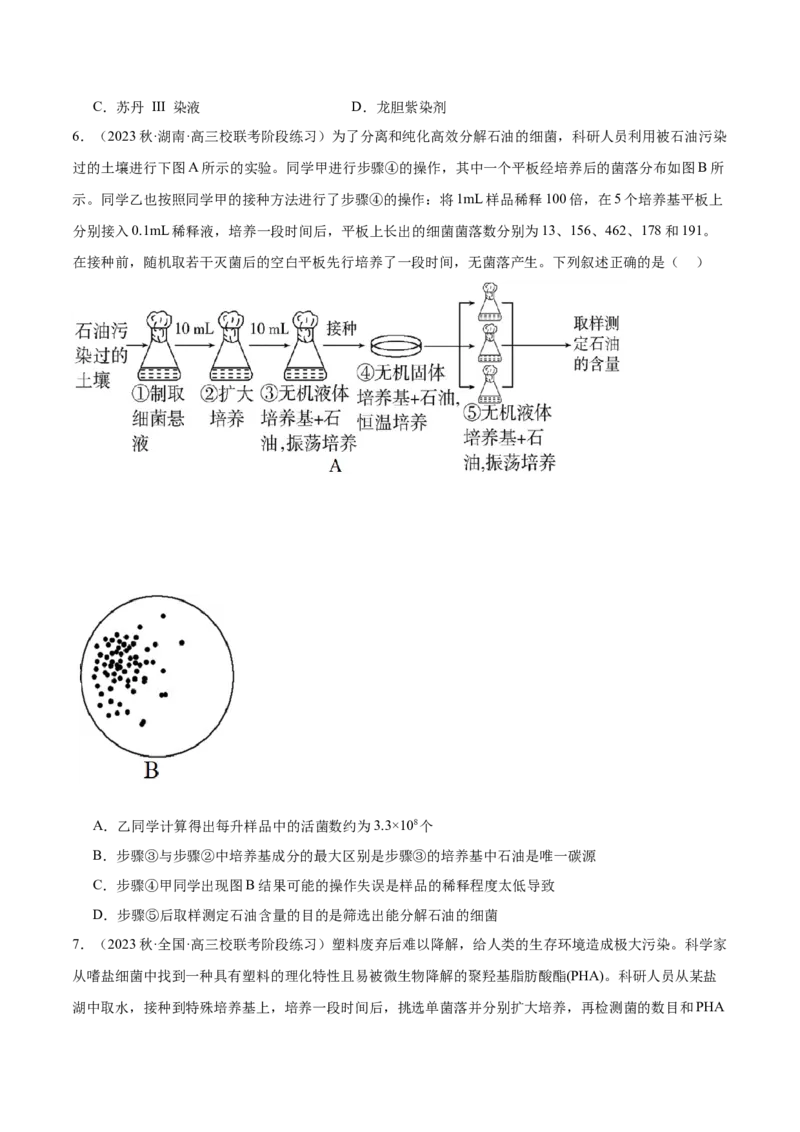 第十单元生物技术与工程（测试）（原卷版）_新高考复习资料_2024年新高考复习资料_一轮复习资料_完2024年高考生物一轮复习讲练测(课件+讲义+练习)（新高考）_单元测试