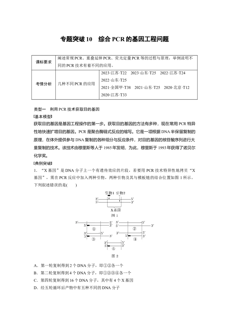 第十单元　专题突破10　综合PCR的基因工程问题_2025年新高考资料_一轮复习_2025大一轮复习讲义+课件（完结）_2025大一轮复习讲义生物学生用书Word版文档整书_2025大一轮复习讲义