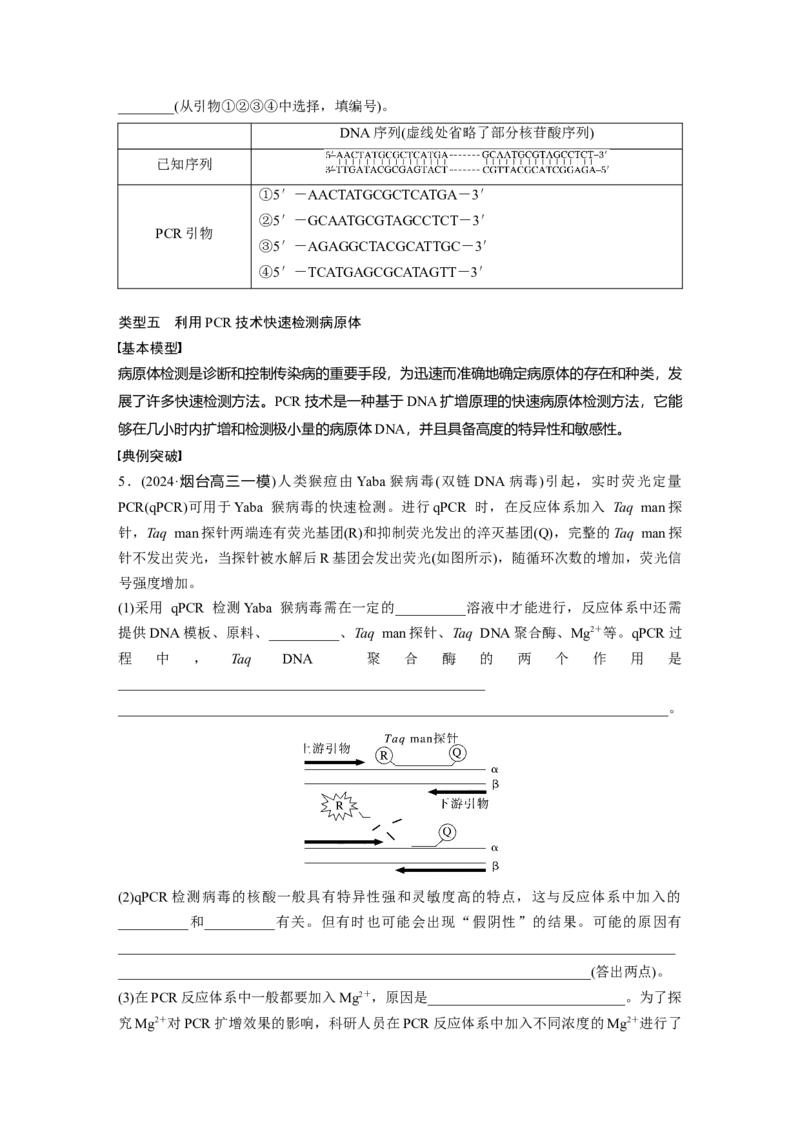 第十单元　专题突破10　综合PCR的基因工程问题_2025年新高考资料_一轮复习_2025大一轮复习讲义+课件（完结）_2025大一轮复习讲义生物学生用书Word版文档整书_2025大一轮复习讲义