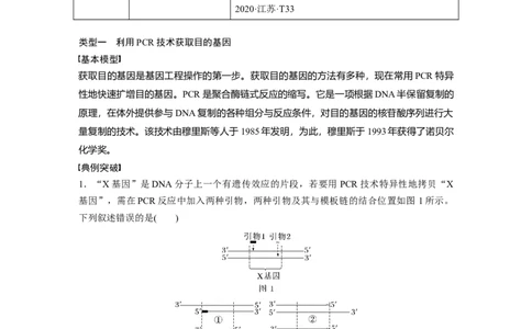 第十单元　专题突破10　综合PCR的基因工程问题_2025年新高考资料_一轮复习_2025大一轮复习讲义+课件（完结）_2025大一轮复习讲义生物学生用书Word版文档整书_2025大一轮复习讲义