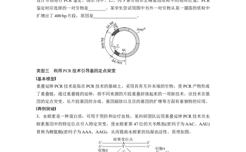 第十单元　专题突破10　综合PCR的基因工程问题_2025年新高考资料_一轮复习_2025大一轮复习讲义+课件（完结）_2025大一轮复习讲义生物学生用书Word版文档整书_2025大一轮复习讲义
