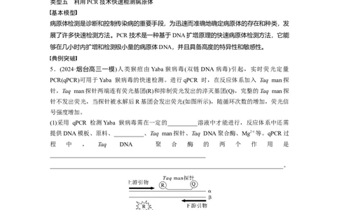 第十单元　专题突破10　综合PCR的基因工程问题_2025年新高考资料_一轮复习_2025大一轮复习讲义+课件（完结）_2025大一轮复习讲义生物学生用书Word版文档整书_2025大一轮复习讲义