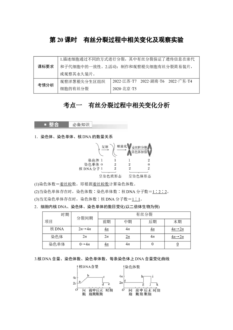 第四单元　第20课时　有丝分裂过程中相关变化及观察实验_2025年新高考资料_一轮复习_2025大一轮复习讲义+课件（完结）_2025大一轮复习讲义生物教师用书Word版文档整书