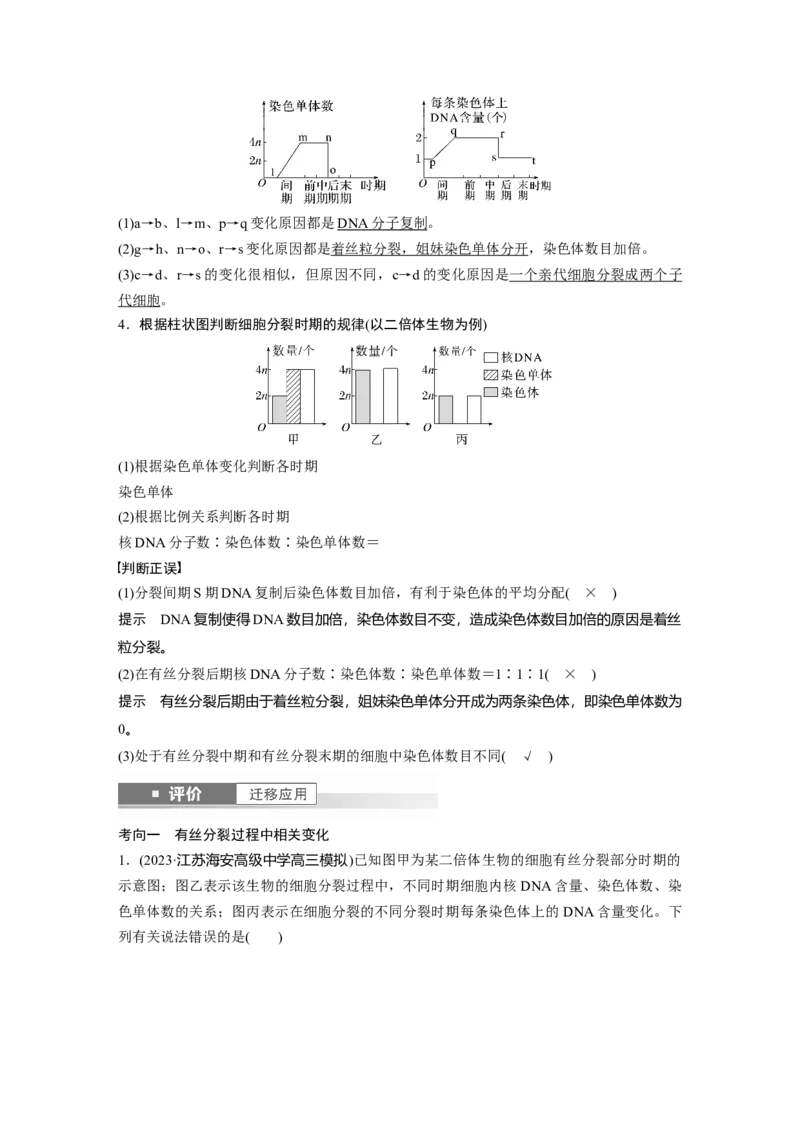 第四单元　第20课时　有丝分裂过程中相关变化及观察实验_2025年新高考资料_一轮复习_2025大一轮复习讲义+课件（完结）_2025大一轮复习讲义生物教师用书Word版文档整书