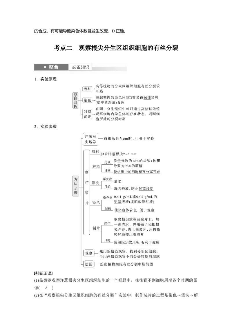 第四单元　第20课时　有丝分裂过程中相关变化及观察实验_2025年新高考资料_一轮复习_2025大一轮复习讲义+课件（完结）_2025大一轮复习讲义生物教师用书Word版文档整书