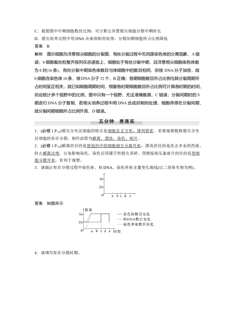 第四单元　第20课时　有丝分裂过程中相关变化及观察实验_2025年新高考资料_一轮复习_2025大一轮复习讲义+课件（完结）_2025大一轮复习讲义生物教师用书Word版文档整书