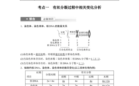 第四单元　第20课时　有丝分裂过程中相关变化及观察实验_2025年新高考资料_一轮复习_2025大一轮复习讲义+课件（完结）_2025大一轮复习讲义生物教师用书Word版文档整书
