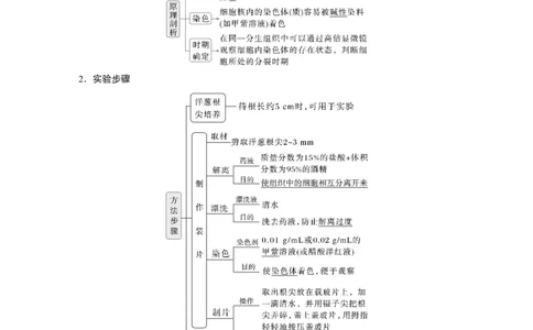 第四单元　第20课时　有丝分裂过程中相关变化及观察实验_2025年新高考资料_一轮复习_2025大一轮复习讲义+课件（完结）_2025大一轮复习讲义生物教师用书Word版文档整书