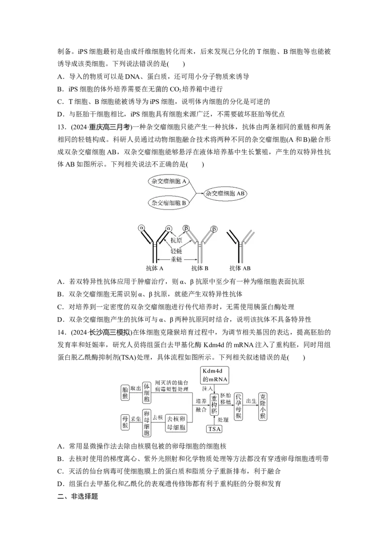 第十单元　课时练59　动物细胞工程_2025年新高考资料_一轮复习_2025大一轮复习讲义+课件（完结）_2025大一轮复习讲义生物学生用书Word版文档整书_2025一轮复习73练