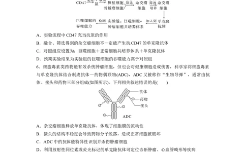 第十单元　课时练59　动物细胞工程_2025年新高考资料_一轮复习_2025大一轮复习讲义+课件（完结）_2025大一轮复习讲义生物学生用书Word版文档整书_2025一轮复习73练
