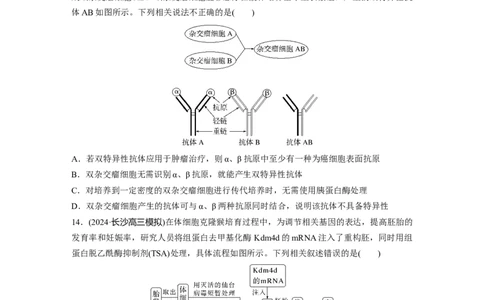 第十单元　课时练59　动物细胞工程_2025年新高考资料_一轮复习_2025大一轮复习讲义+课件（完结）_2025大一轮复习讲义生物学生用书Word版文档整书_2025一轮复习73练