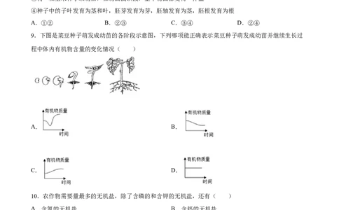 专题05被子植物的一生（习题精练）（原卷版）_6生物中考复习_2024年中考复习资料_一轮复习资料_省心备考2024年中考生物一轮复习精讲精练（全国通用）_配套练习（原卷版+解析版）