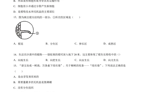 专题05被子植物的一生（习题精练）（原卷版）_6生物中考复习_2024年中考复习资料_一轮复习资料_省心备考2024年中考生物一轮复习精讲精练（全国通用）_配套练习（原卷版+解析版）