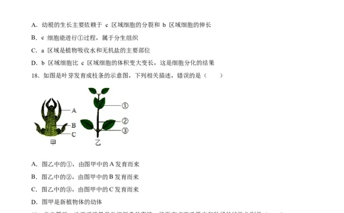专题05被子植物的一生（习题精练）（原卷版）_6生物中考复习_2024年中考复习资料_一轮复习资料_省心备考2024年中考生物一轮复习精讲精练（全国通用）_配套练习（原卷版+解析版）