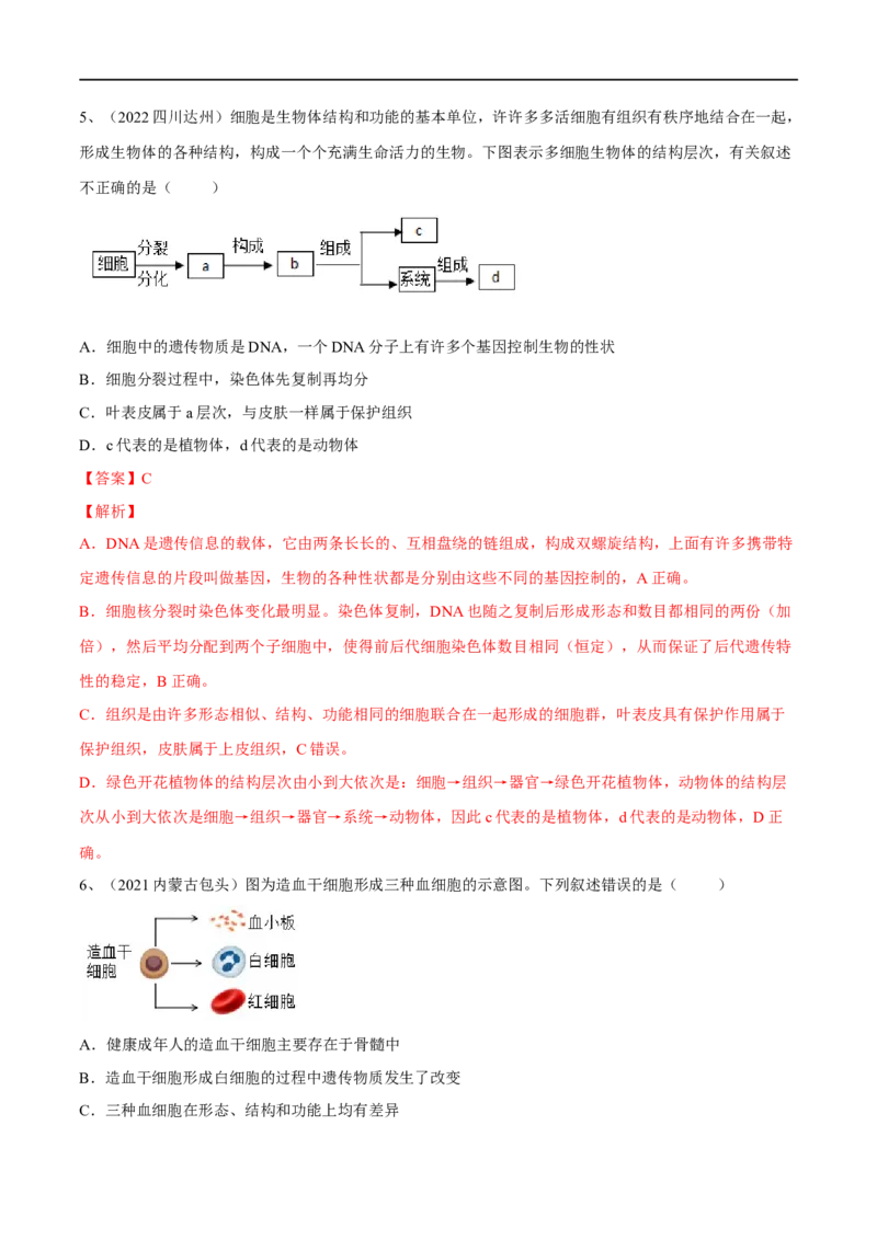 专题03细胞怎样构成生物体（解析版）_6生物中考复习_2023年中考复习资料_一轮复习_2023年中考生物一轮复习讲练测_专题03细胞怎样构成生物体（专题精练）-2023年中考生物一轮复习讲练测
