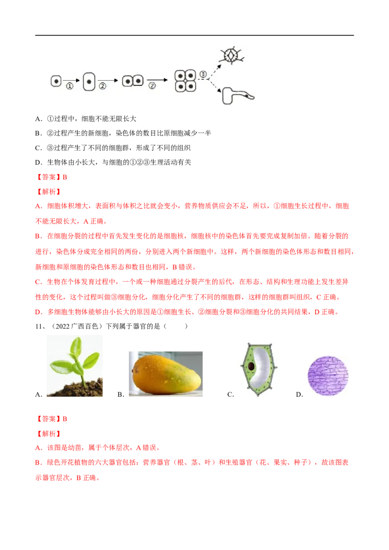 专题03细胞怎样构成生物体（解析版）_6生物中考复习_2023年中考复习资料_一轮复习_2023年中考生物一轮复习讲练测_专题03细胞怎样构成生物体（专题精练）-2023年中考生物一轮复习讲练测