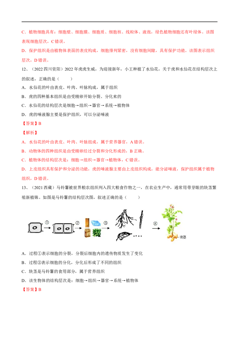 专题03细胞怎样构成生物体（解析版）_6生物中考复习_2023年中考复习资料_一轮复习_2023年中考生物一轮复习讲练测_专题03细胞怎样构成生物体（专题精练）-2023年中考生物一轮复习讲练测