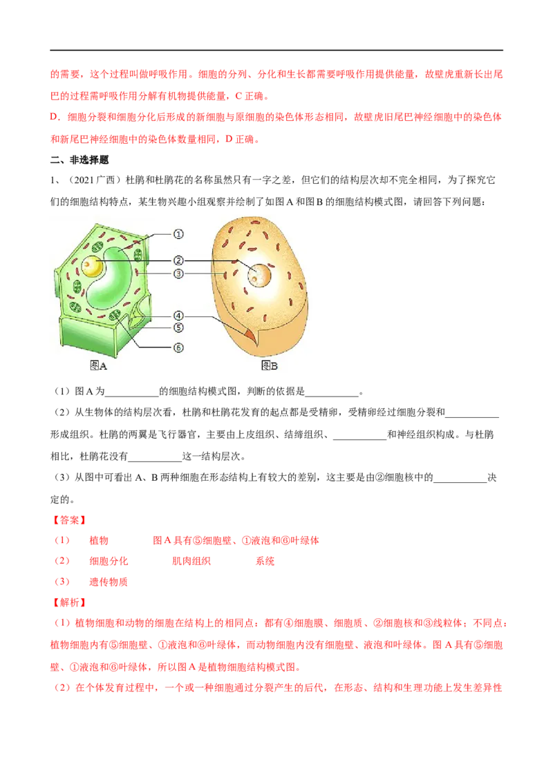 专题03细胞怎样构成生物体（解析版）_6生物中考复习_2023年中考复习资料_一轮复习_2023年中考生物一轮复习讲练测_专题03细胞怎样构成生物体（专题精练）-2023年中考生物一轮复习讲练测