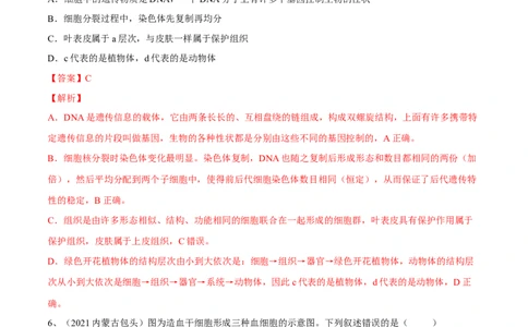 专题03细胞怎样构成生物体（解析版）_6生物中考复习_2023年中考复习资料_一轮复习_2023年中考生物一轮复习讲练测_专题03细胞怎样构成生物体（专题精练）-2023年中考生物一轮复习讲练测