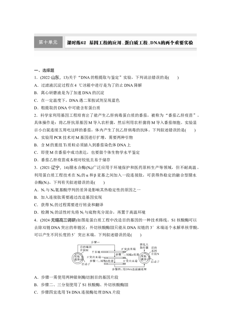 第十单元　课时练62　基因工程的应用、蛋白质工程、DNA的两个重要实验_2025年新高考资料_一轮复习_2025大一轮复习讲义+课件（完结）_2025大一轮复习讲义生物学生用书Word版文档整书