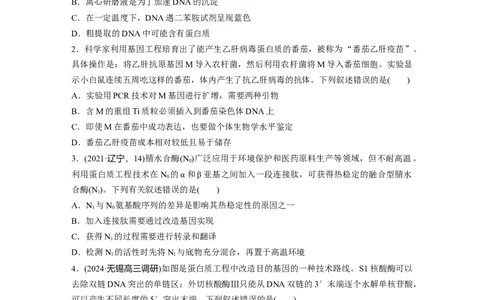 第十单元　课时练62　基因工程的应用、蛋白质工程、DNA的两个重要实验_2025年新高考资料_一轮复习_2025大一轮复习讲义+课件（完结）_2025大一轮复习讲义生物学生用书Word版文档整书