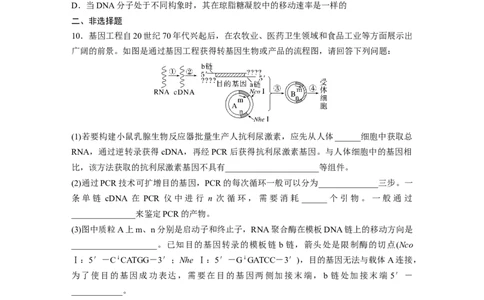 第十单元　课时练62　基因工程的应用、蛋白质工程、DNA的两个重要实验_2025年新高考资料_一轮复习_2025大一轮复习讲义+课件（完结）_2025大一轮复习讲义生物学生用书Word版文档整书