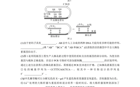 第十单元　课时练62　基因工程的应用、蛋白质工程、DNA的两个重要实验_2025年新高考资料_一轮复习_2025大一轮复习讲义+课件（完结）_2025大一轮复习讲义生物学生用书Word版文档整书