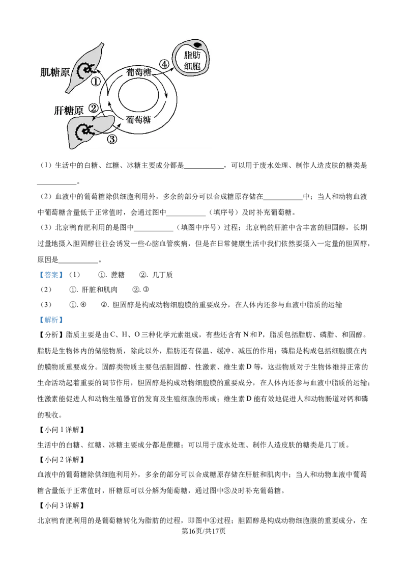 精品解析：安徽省蚌埠市A层高中2025-2026学年高一上学期第一次联考生物试题（解析版）_2025年10月高一试卷_251013安徽省蚌埠市A层高中2025-2026学年高一上学期10月月考