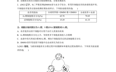 第四单元课时练19细胞的增殖_2025年新高考资料_一轮复习_2025大一轮复习讲义+课件（完结）_2025大一轮复习讲义生物学生用书Word版文档整书_2025一轮复习73练